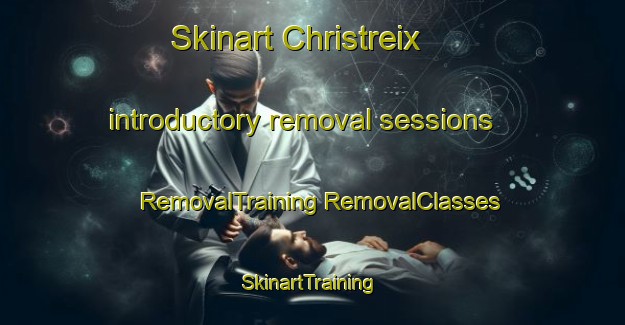 Skinart Christreix introductory removal sessions | #RemovalTraining #RemovalClasses #SkinartTraining-France