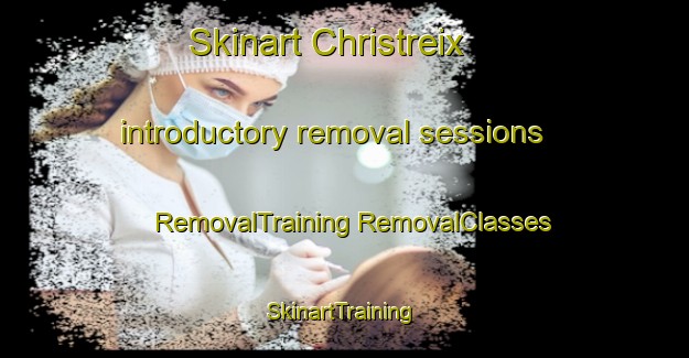 Skinart Christreix introductory removal sessions | #RemovalTraining #RemovalClasses #SkinartTraining-France