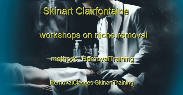 Skinart Clairfontaine workshops on niche removal methods | #RemovalTraining #RemovalClasses #SkinartTraining-France