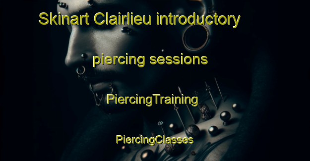 Skinart Clairlieu introductory piercing sessions | #PiercingTraining #PiercingClasses #SkinartTraining-France