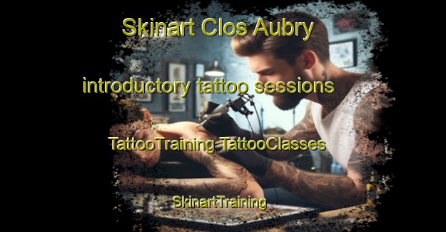 Skinart Clos Aubry introductory tattoo sessions | #TattooTraining #TattooClasses #SkinartTraining-France