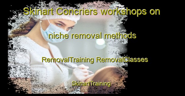 Skinart Concriers workshops on niche removal methods | #RemovalTraining #RemovalClasses #SkinartTraining-France