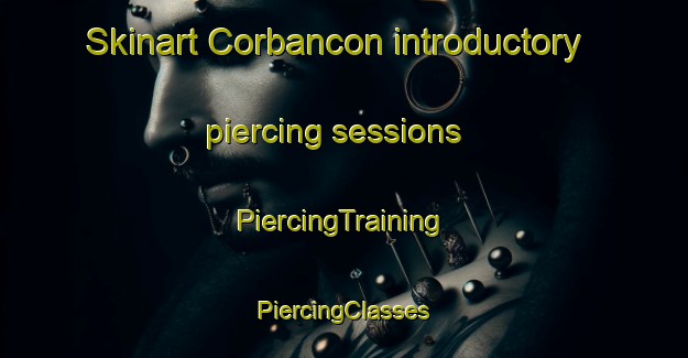 Skinart Corbancon introductory piercing sessions | #PiercingTraining #PiercingClasses #SkinartTraining-France