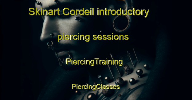 Skinart Cordeil introductory piercing sessions | #PiercingTraining #PiercingClasses #SkinartTraining-France