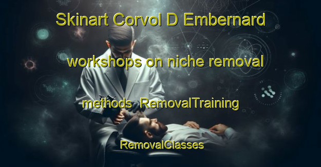 Skinart Corvol D Embernard workshops on niche removal methods | RemovalTraining | RemovalClasses | SkinartTraining-France
