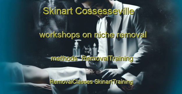 Skinart Cossesseville workshops on niche removal methods | #RemovalTraining #RemovalClasses #SkinartTraining-France