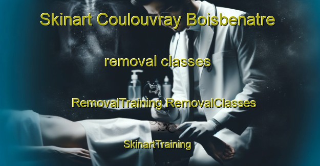 Skinart Coulouvray Boisbenatre removal classes | #RemovalTraining #RemovalClasses #SkinartTraining-France