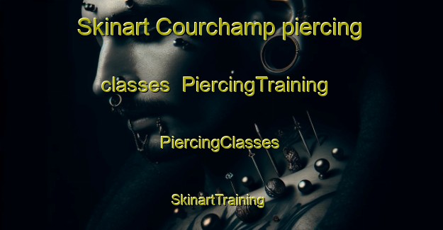 Skinart Courchamp piercing classes | #PiercingTraining #PiercingClasses #SkinartTraining-France