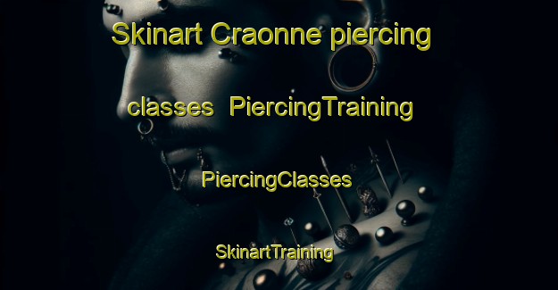 Skinart Craonne piercing classes | #PiercingTraining #PiercingClasses #SkinartTraining-France