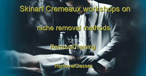 Skinart Cremeaux workshops on niche removal methods | RemovalTraining | RemovalClasses | SkinartTraining-France