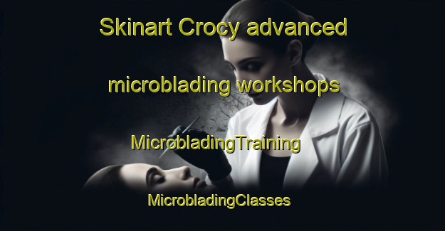 Skinart Crocy advanced microblading workshops | MicrobladingTraining | MicrobladingClasses | SkinartTraining-France