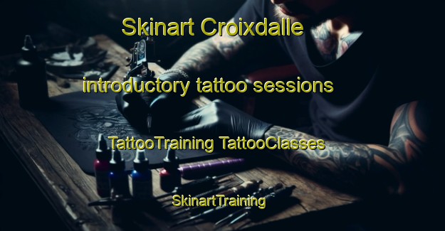 Skinart Croixdalle introductory tattoo sessions | #TattooTraining #TattooClasses #SkinartTraining-France