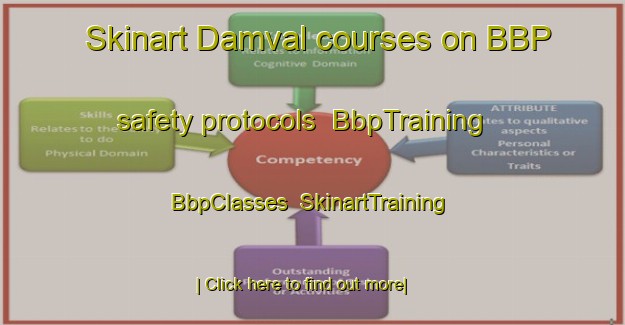 Skinart Damval courses on BBP safety protocols | BbpTraining | BbpClasses | SkinartTraining-France