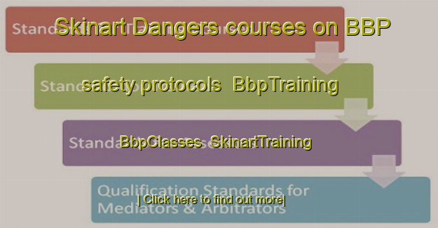 Skinart Dangers courses on BBP safety protocols | BbpTraining | BbpClasses | SkinartTraining-France