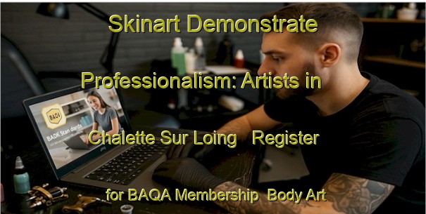 Skinart Demonstrate Professionalism: Artists in Chalette Sur Loing - Register for BAQA Membership | Body Art Qualification Authority | BAQA-France