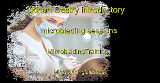 Skinart Destry introductory microblading sessions | MicrobladingTraining | MicrobladingClasses | SkinartTraining-France