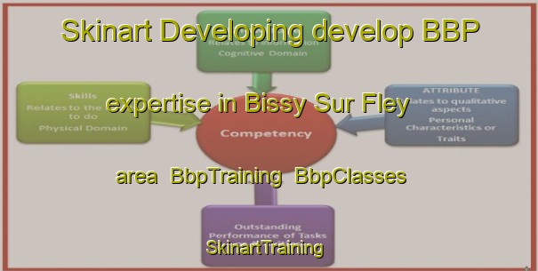 Skinart Developing develop BBP expertise in Bissy Sur Fley area | BbpTraining | BbpClasses | SkinartTraining-France