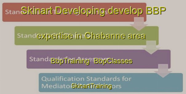 Skinart Developing develop BBP expertise in Chabanne area | BbpTraining | BbpClasses | SkinartTraining-France