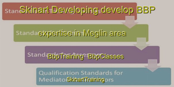 Skinart Developing develop BBP expertise in Meglin area | BbpTraining | BbpClasses | SkinartTraining-France