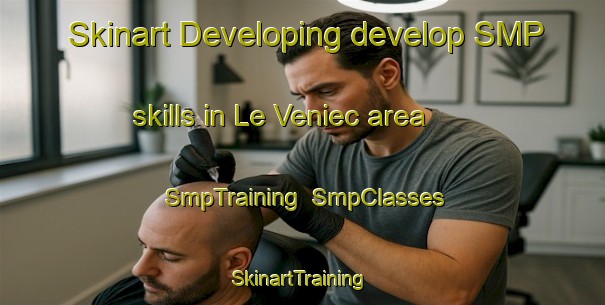 Skinart Developing develop SMP skills in Le Veniec area | SmpTraining | SmpClasses | SkinartTraining-France