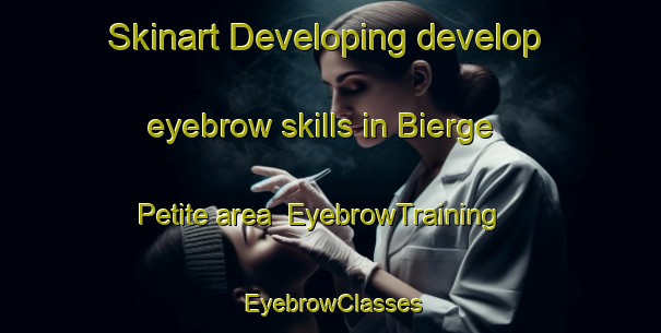 Skinart Developing develop eyebrow skills in Bierge Petite area | EyebrowTraining | EyebrowClasses | SkinartTraining-France