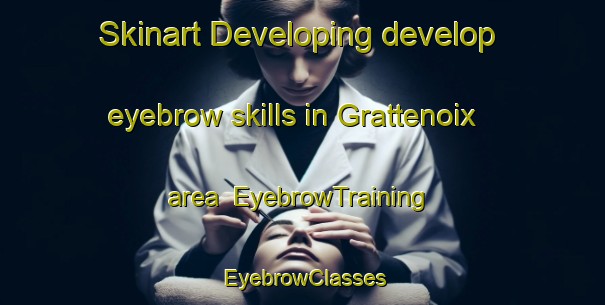 Skinart Developing develop eyebrow skills in Grattenoix area | EyebrowTraining | EyebrowClasses | SkinartTraining-France