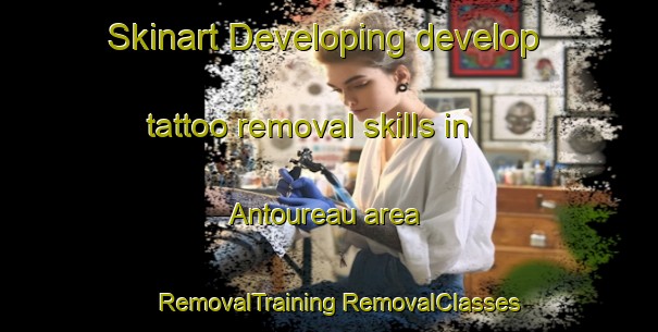 Skinart Developing develop tattoo removal skills in Antoureau area | #RemovalTraining #RemovalClasses #SkinartTraining-France