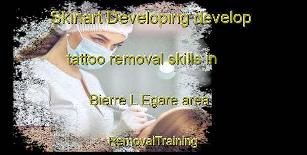 Skinart Developing develop tattoo removal skills in Bierre L Egare area | RemovalTraining | RemovalClasses | SkinartTraining-France