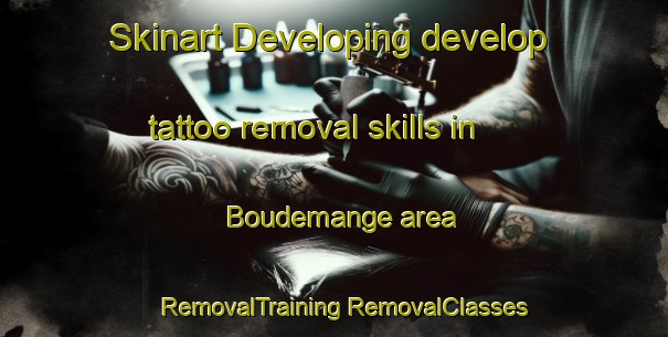 Skinart Developing develop tattoo removal skills in Boudemange area | #RemovalTraining #RemovalClasses #SkinartTraining-France