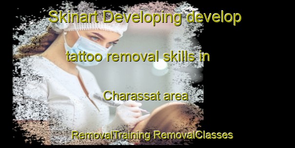 Skinart Developing develop tattoo removal skills in Charassat area | #RemovalTraining #RemovalClasses #SkinartTraining-France