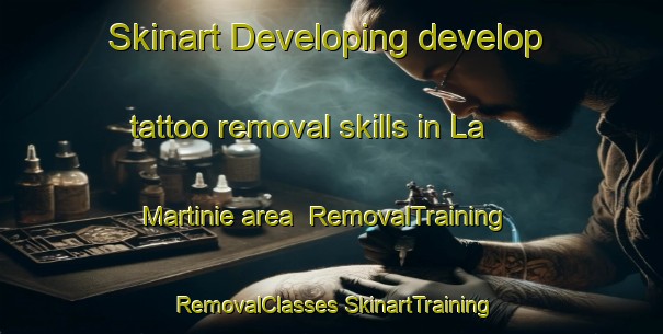 Skinart Developing develop tattoo removal skills in La Martinie area | #RemovalTraining #RemovalClasses #SkinartTraining-France