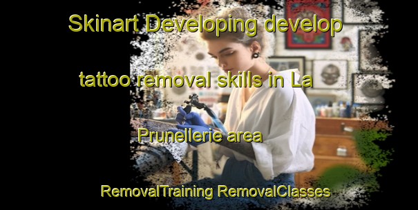 Skinart Developing develop tattoo removal skills in La Prunellerie area | #RemovalTraining #RemovalClasses #SkinartTraining-France