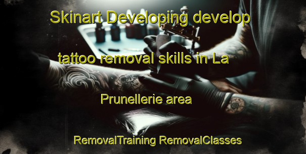 Skinart Developing develop tattoo removal skills in La Prunellerie area | #RemovalTraining #RemovalClasses #SkinartTraining-France