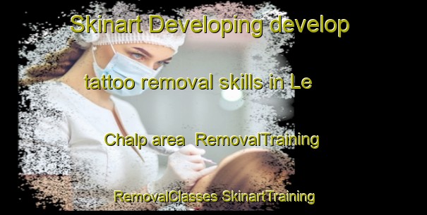 Skinart Developing develop tattoo removal skills in Le Chalp area | #RemovalTraining #RemovalClasses #SkinartTraining-France