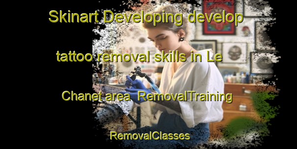 Skinart Developing develop tattoo removal skills in Le Chanet area | RemovalTraining | RemovalClasses | SkinartTraining-France