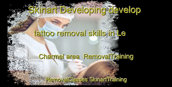 Skinart Developing develop tattoo removal skills in Le Charmel area | #RemovalTraining #RemovalClasses #SkinartTraining-France