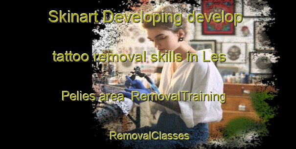 Skinart Developing develop tattoo removal skills in Les Pelies area | RemovalTraining | RemovalClasses | SkinartTraining-France