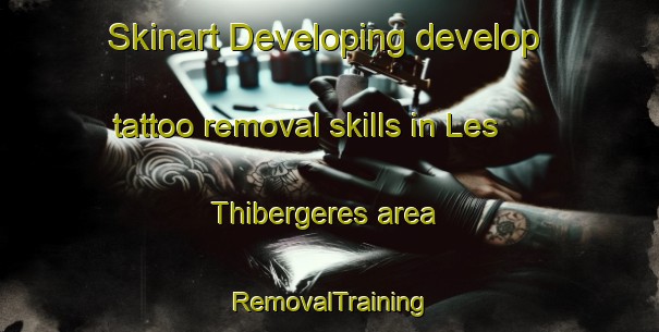 Skinart Developing develop tattoo removal skills in Les Thibergeres area | RemovalTraining | RemovalClasses | SkinartTraining-France