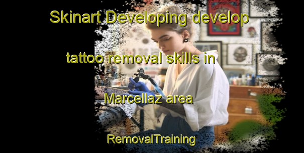 Skinart Developing develop tattoo removal skills in Marcellaz area | RemovalTraining | RemovalClasses | SkinartTraining-France