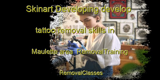 Skinart Developing develop tattoo removal skills in Maulette area | RemovalTraining | RemovalClasses | SkinartTraining-France