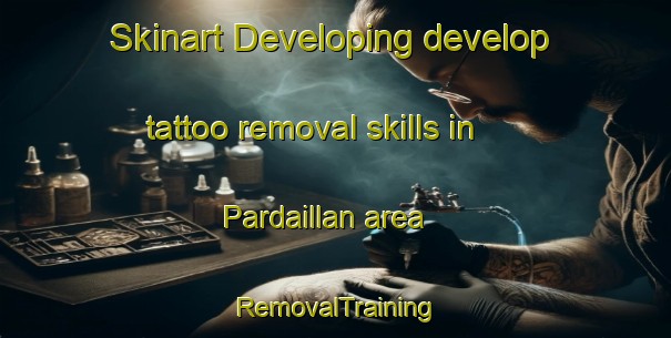 Skinart Developing develop tattoo removal skills in Pardaillan area | RemovalTraining | RemovalClasses | SkinartTraining-France