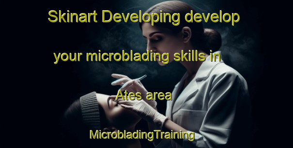 Skinart Developing develop your microblading skills in Ates area | MicrobladingTraining | MicrobladingClasses | SkinartTraining-France