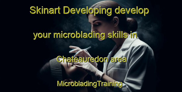 Skinart Developing develop your microblading skills in Chateauredon area | #MicrobladingTraining #MicrobladingClasses #SkinartTraining-France