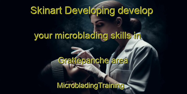 Skinart Developing develop your microblading skills in Grattepanche area | MicrobladingTraining | MicrobladingClasses | SkinartTraining-France