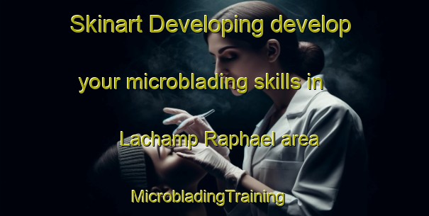 Skinart Developing develop your microblading skills in Lachamp Raphael area | MicrobladingTraining | MicrobladingClasses | SkinartTraining-France