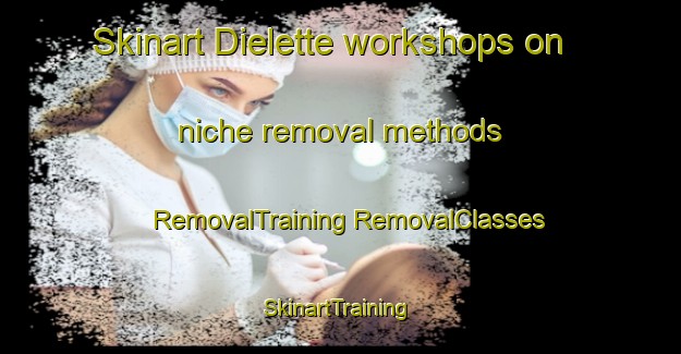 Skinart Dielette workshops on niche removal methods | #RemovalTraining #RemovalClasses #SkinartTraining-France