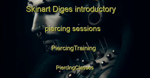 Skinart Diges introductory piercing sessions | #PiercingTraining #PiercingClasses #SkinartTraining-France