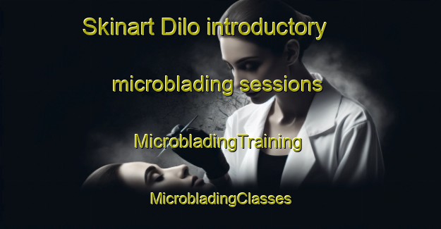 Skinart Dilo introductory microblading sessions | #MicrobladingTraining #MicrobladingClasses #SkinartTraining-France