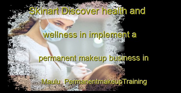 Skinart Discover health and wellness in implement a permanent makeup business in Maulu | PermanentmakeupTraining | PermanentmakeupClasses | SkinartTraining-France