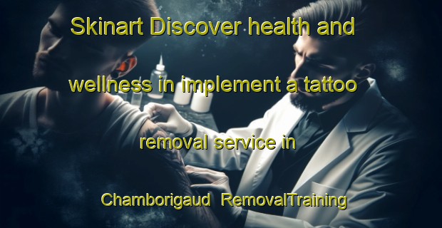 Skinart Discover health and wellness in implement a tattoo removal service in Chamborigaud | RemovalTraining | RemovalClasses | SkinartTraining-France